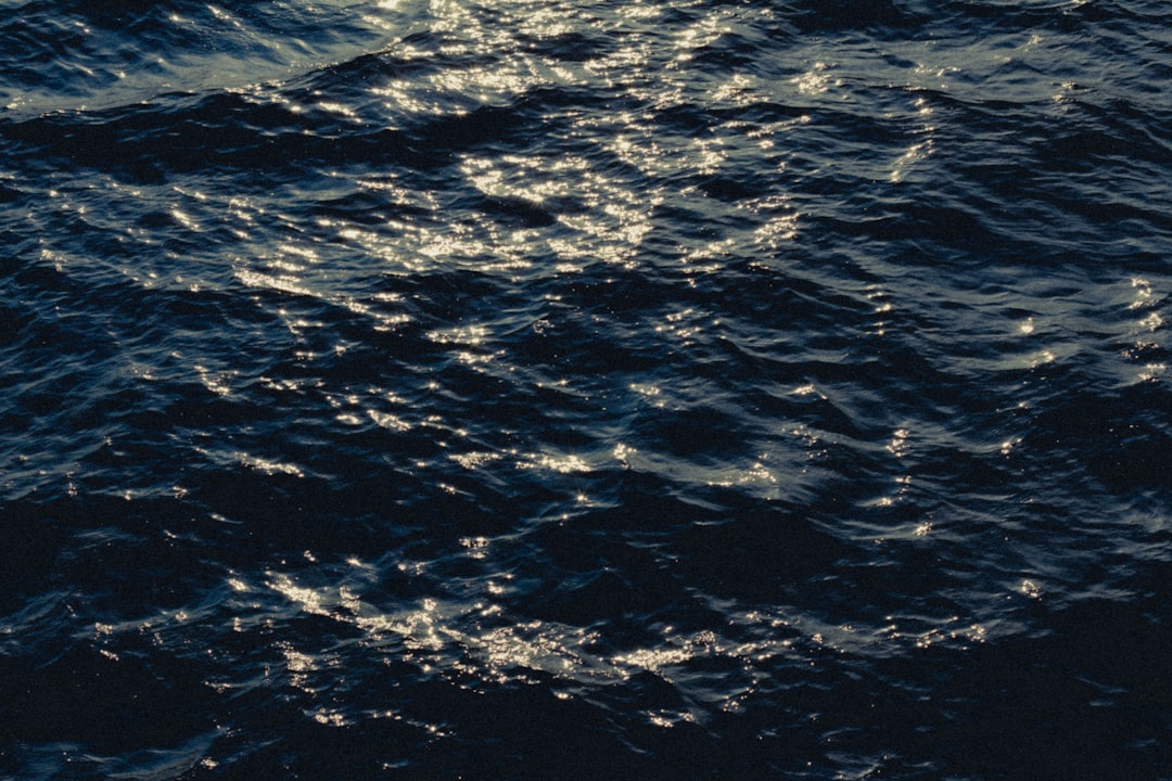 Paysage de Nowa Sól