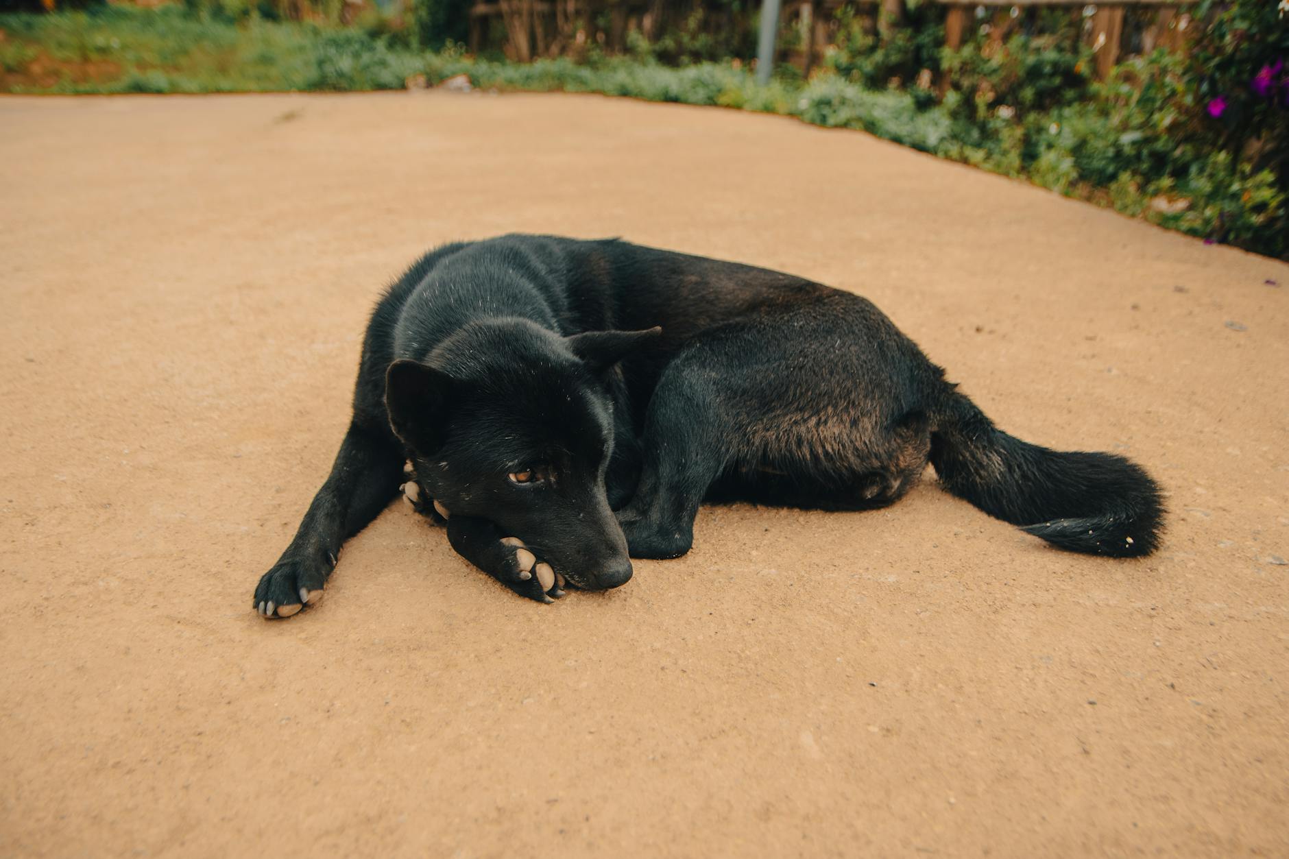 Paysage de Gia Viễn