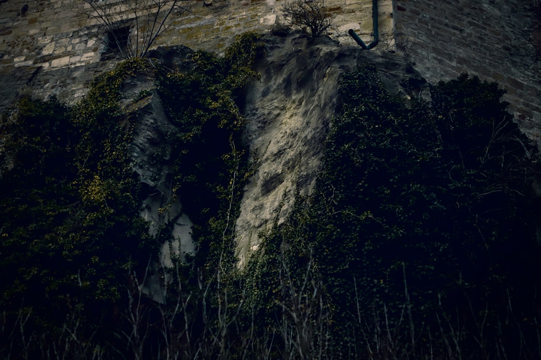 Paysage de Svinjište