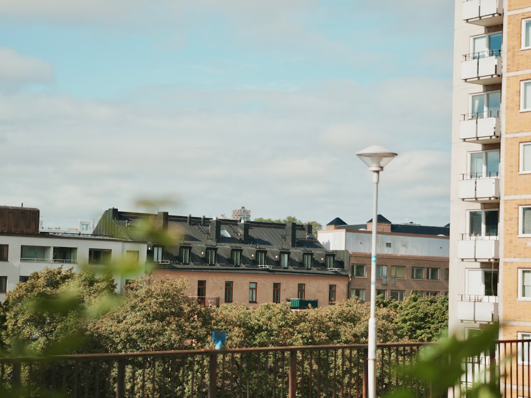 Paysage de Punkalaidun