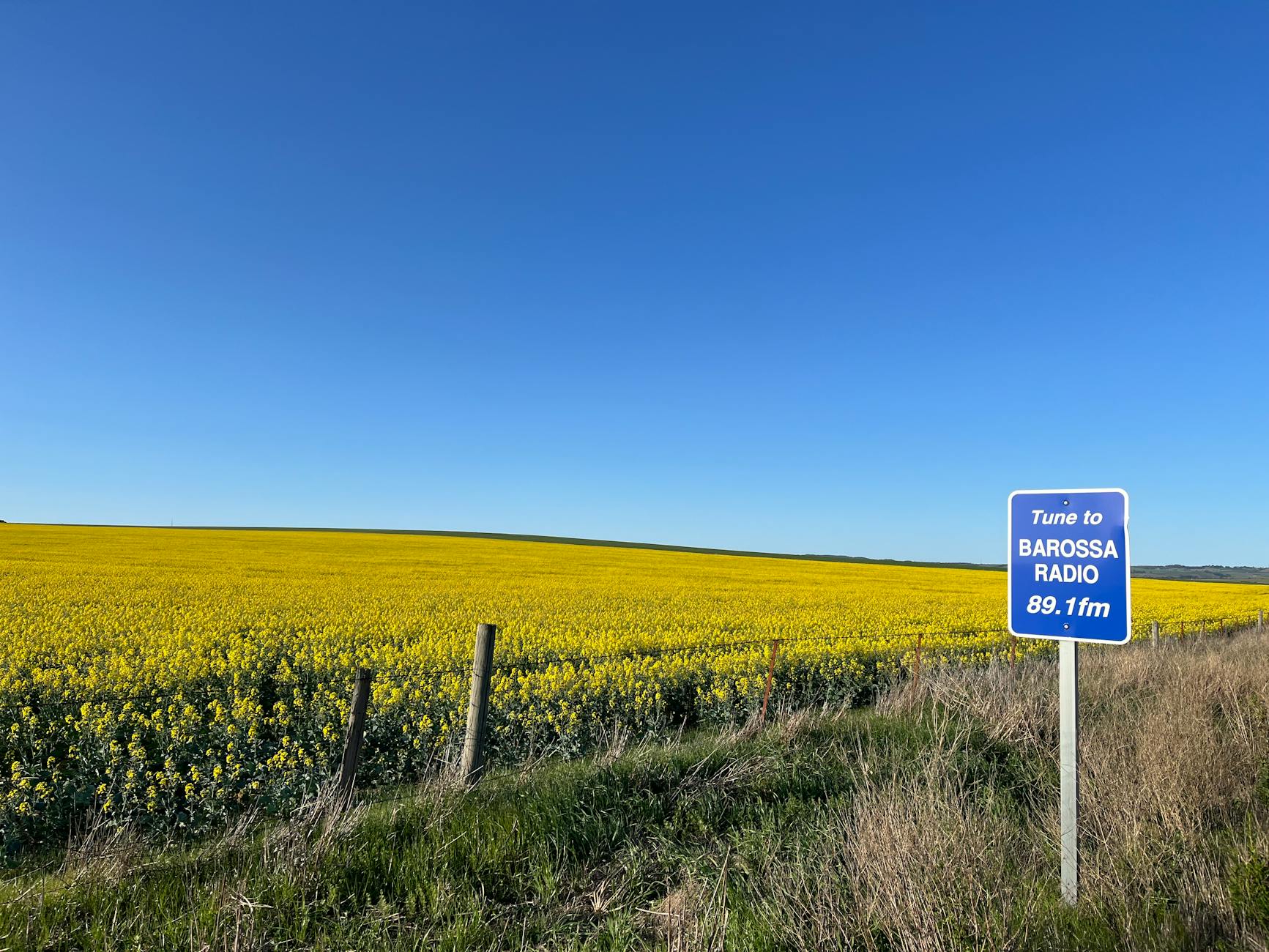 Paysage de Kamychine