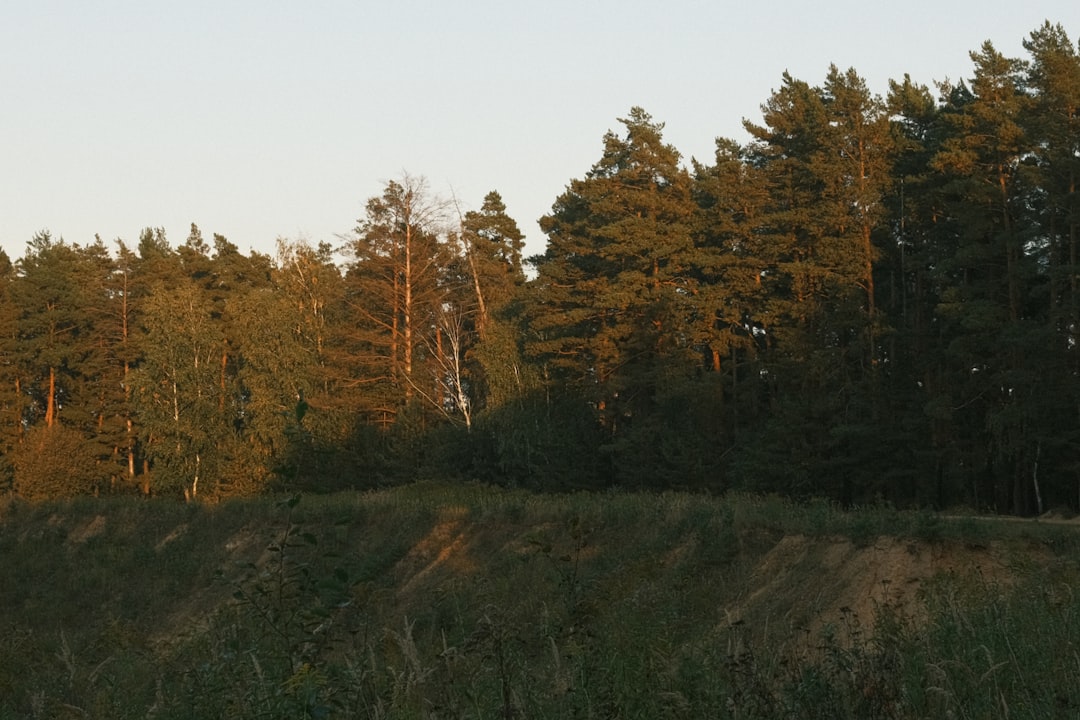 Paysage de Äänekoski