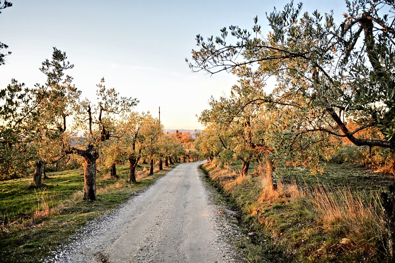 Vue de Acquaviva delle Fonti