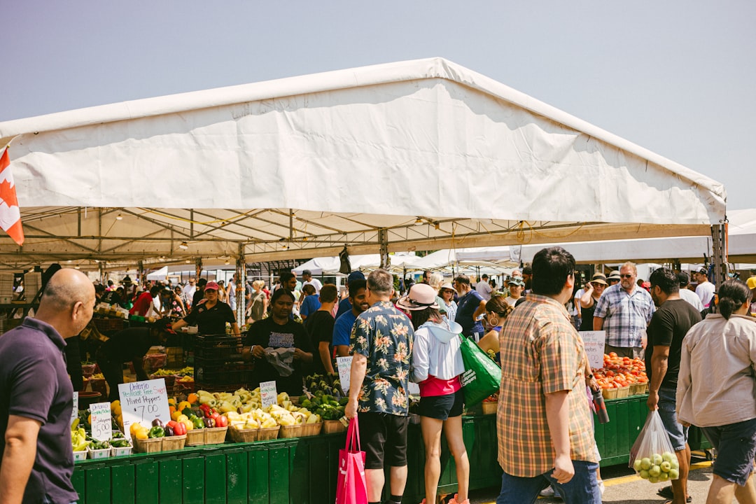 Paysage de Aiguillon