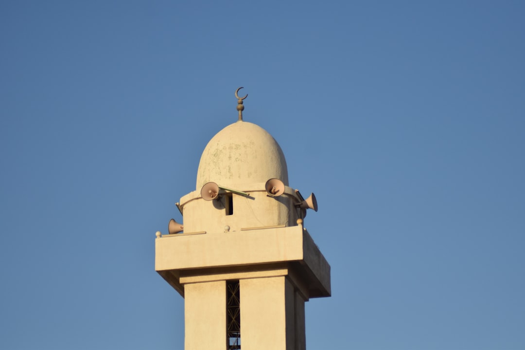 Paysage de Al-Qasasin al-Jadidah