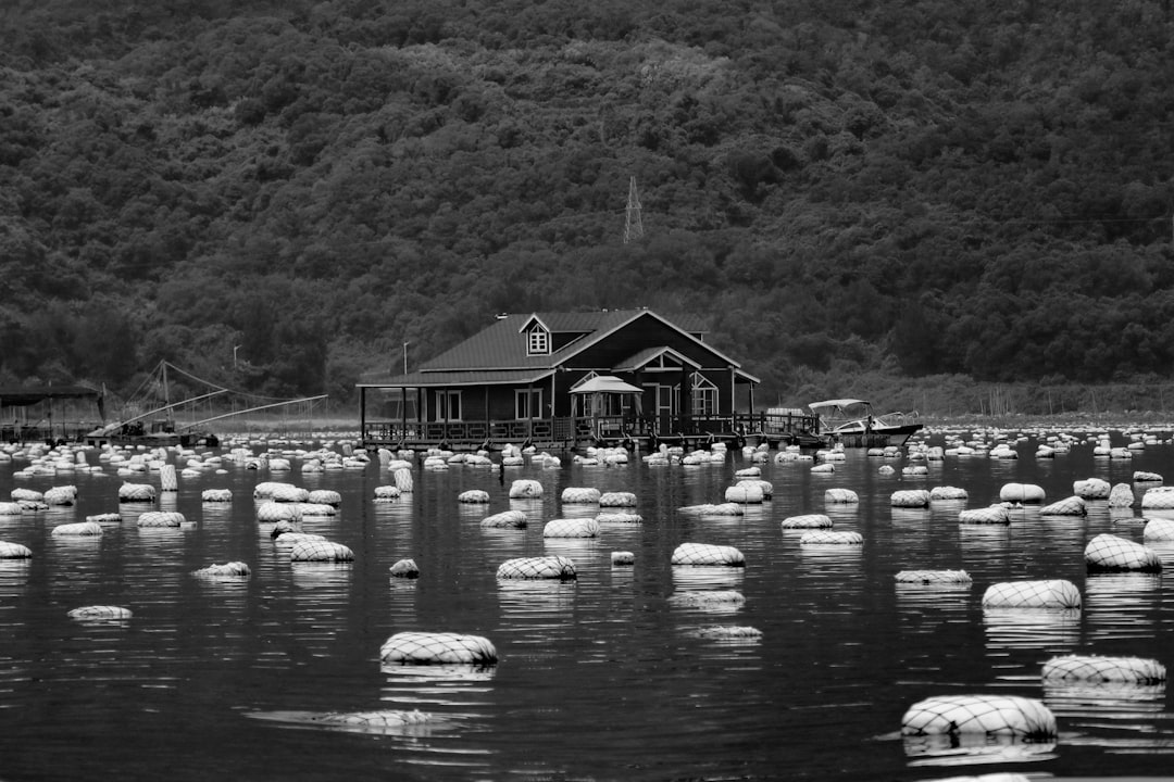 Vue de Ålands collections