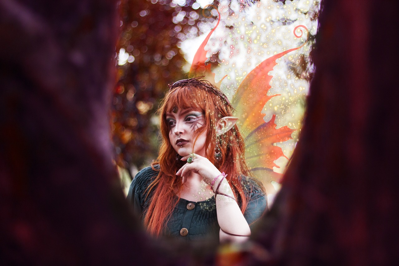 Vue de Alta Floresta