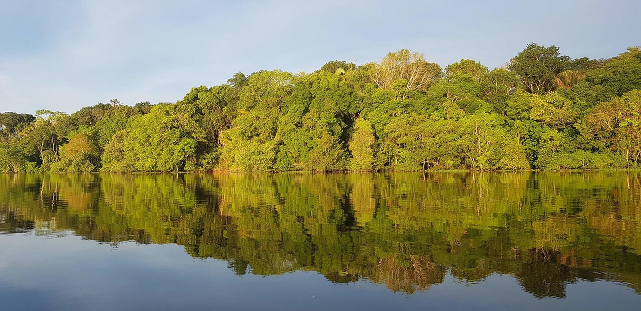 Paysage de Alta Floresta