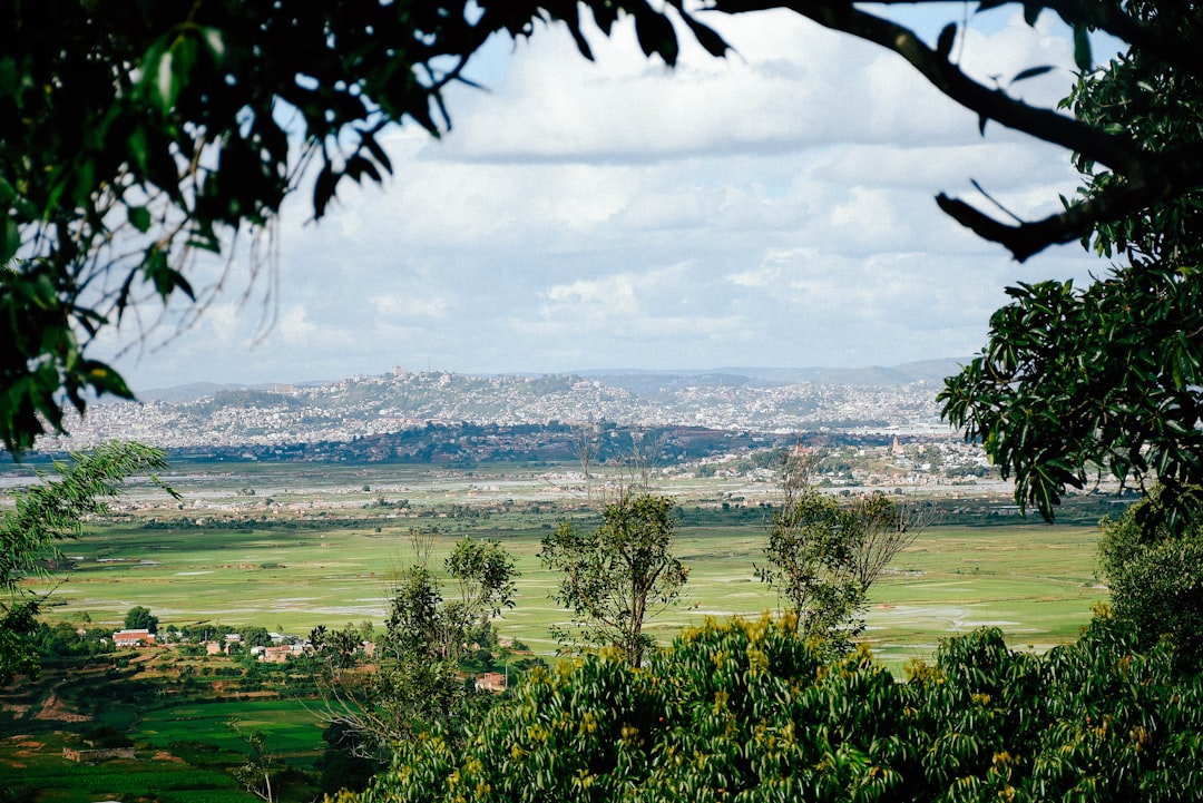 Paysage de Antananarivo V