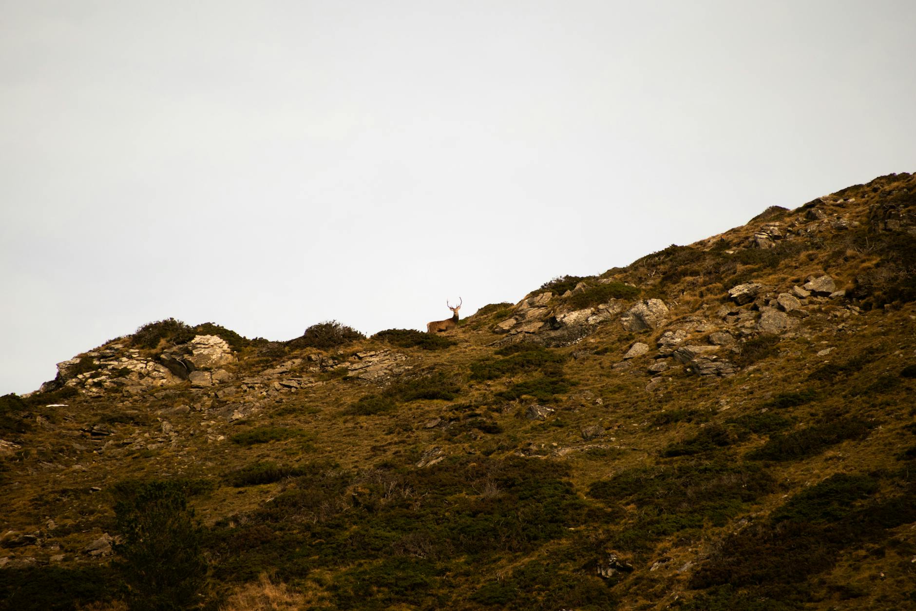 Paysage de Bagneres De Bigorre