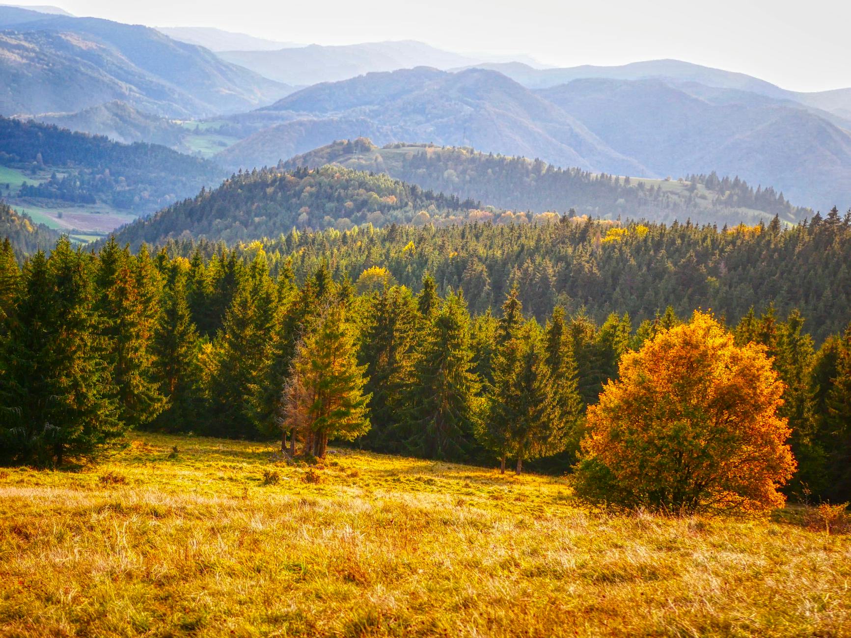 Vue de Banská Bystrica