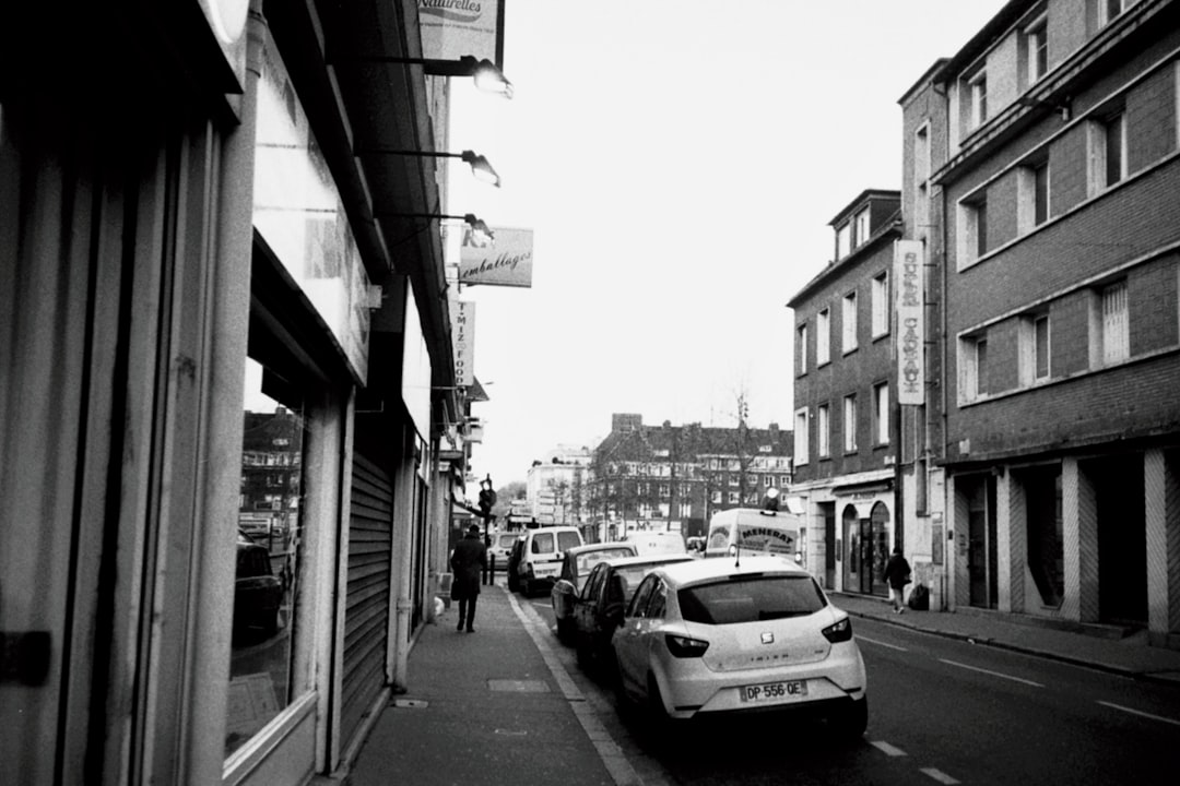 Paysage de Beaugency