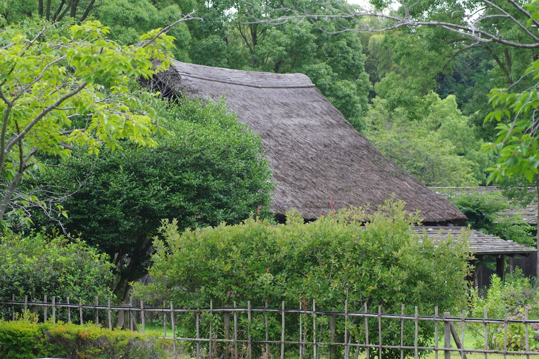 Paysage de Blackheath