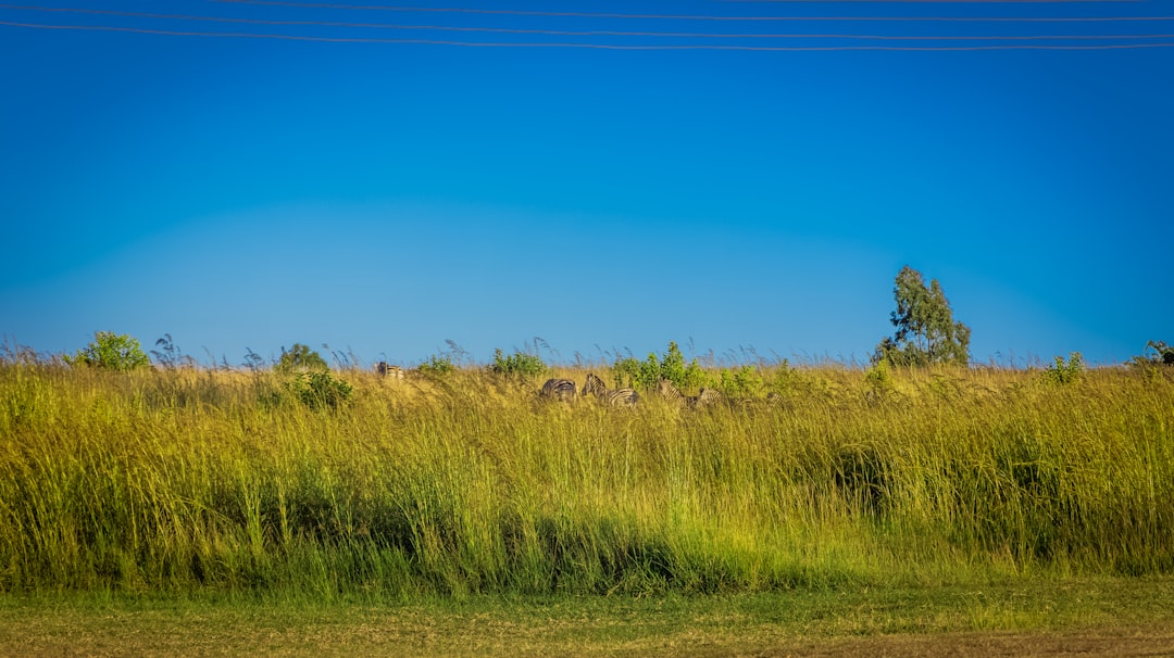 Paysage de Blantyre Ndirande