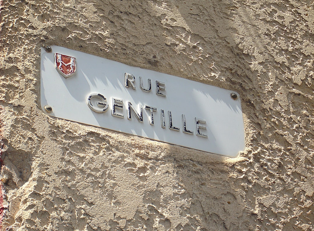 Vue de Carpentras Sud