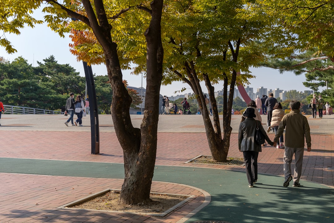 Vue de Coulounieix-Chamiers