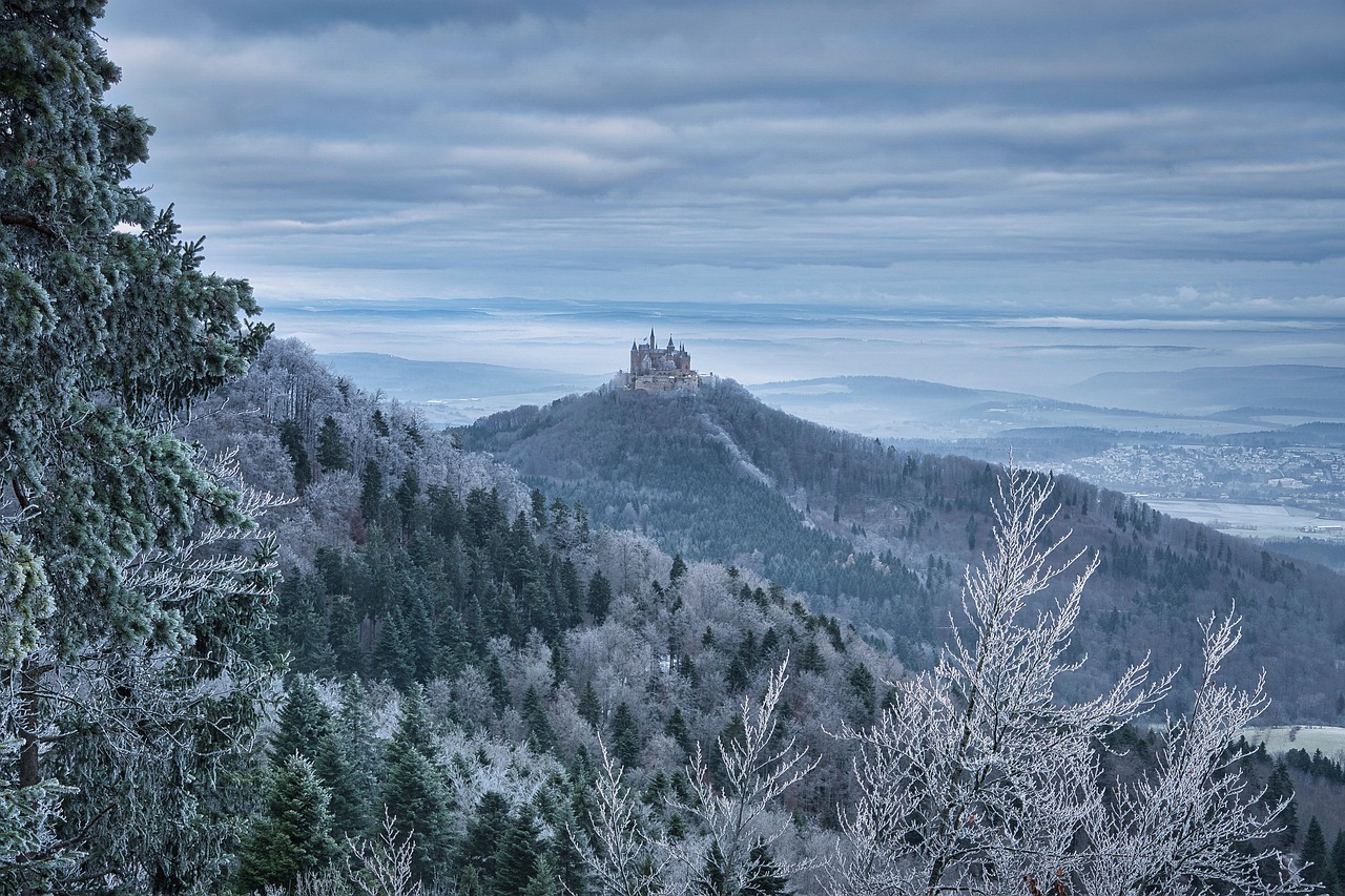 Vue de Dumbrăveni