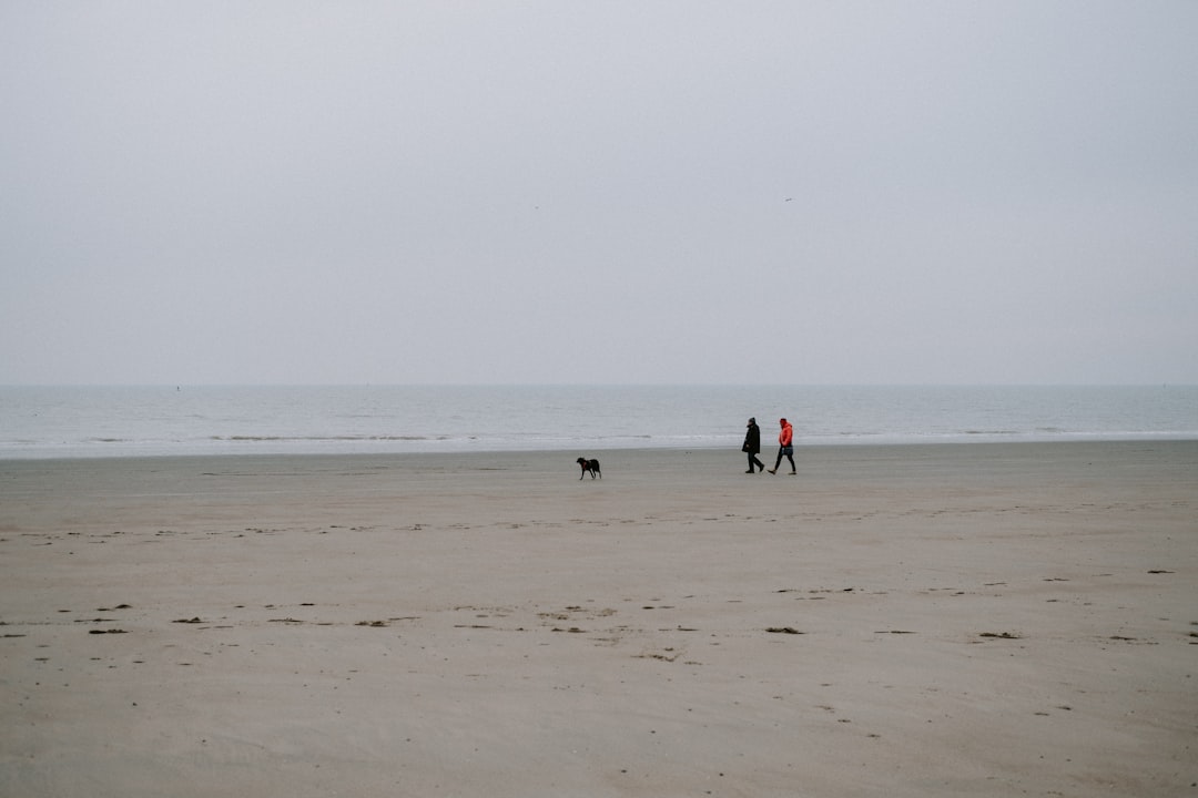 Paysage de Dunkerque
