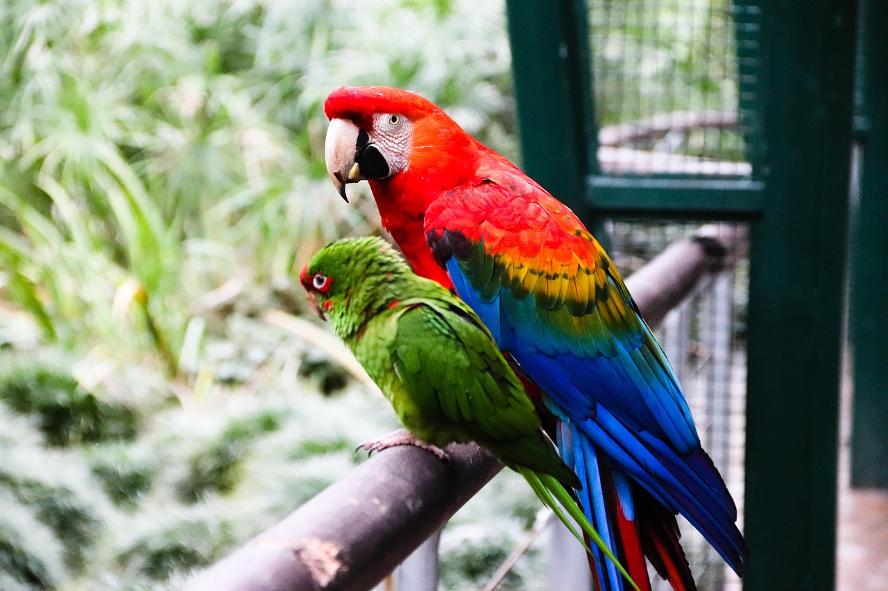 Vue de Freguesia de Macao Zone Plaine Sud-Ouest