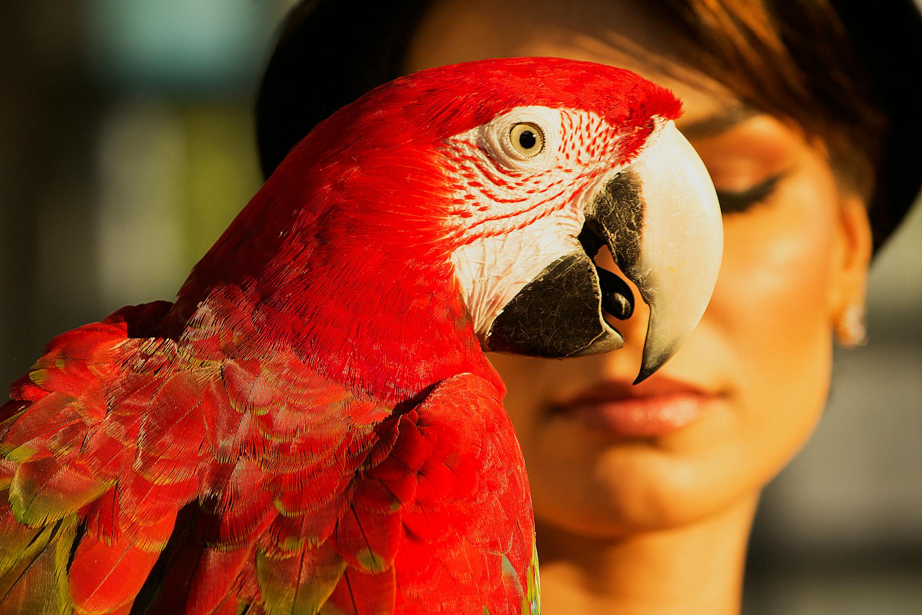 Paysage de Freguesia de Macao Zone Résidentielle Moyenne