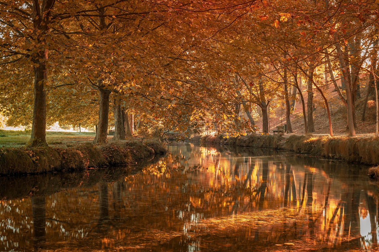 Vue de Freguesia de São Francisco de Xavier