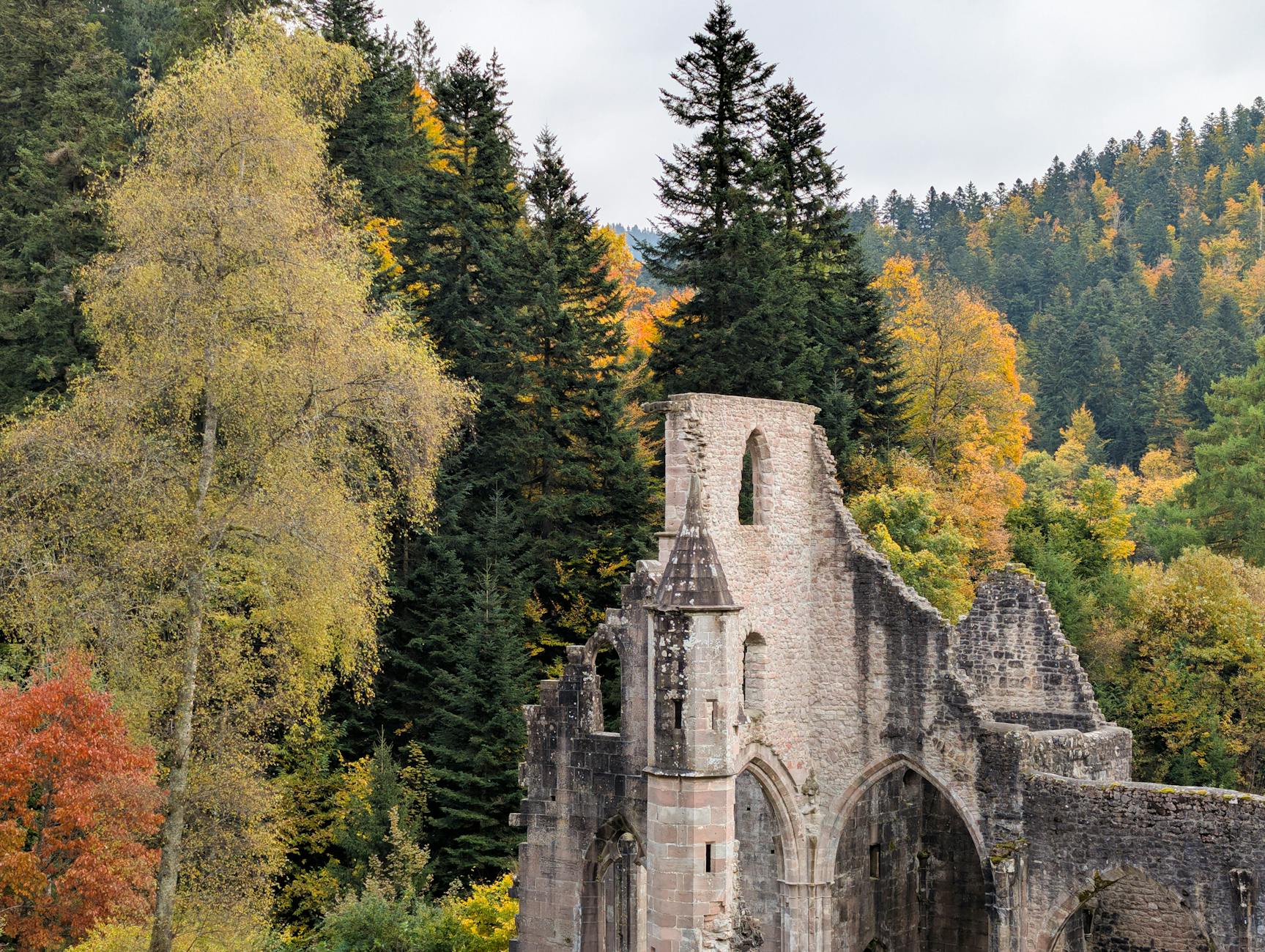 Paysage de Hohenstein-Ernstthal