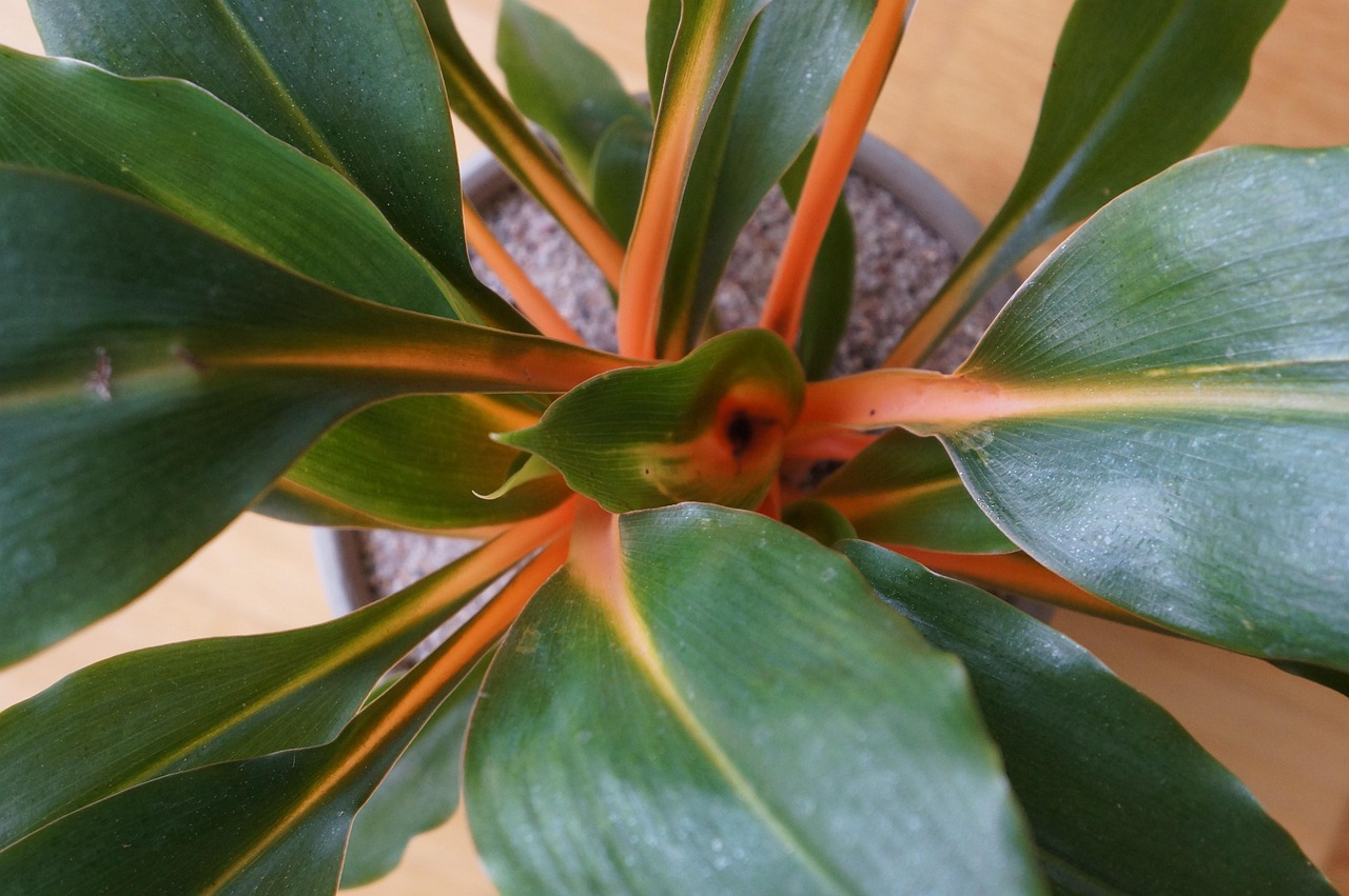 Paysage de Kambia Geological Area