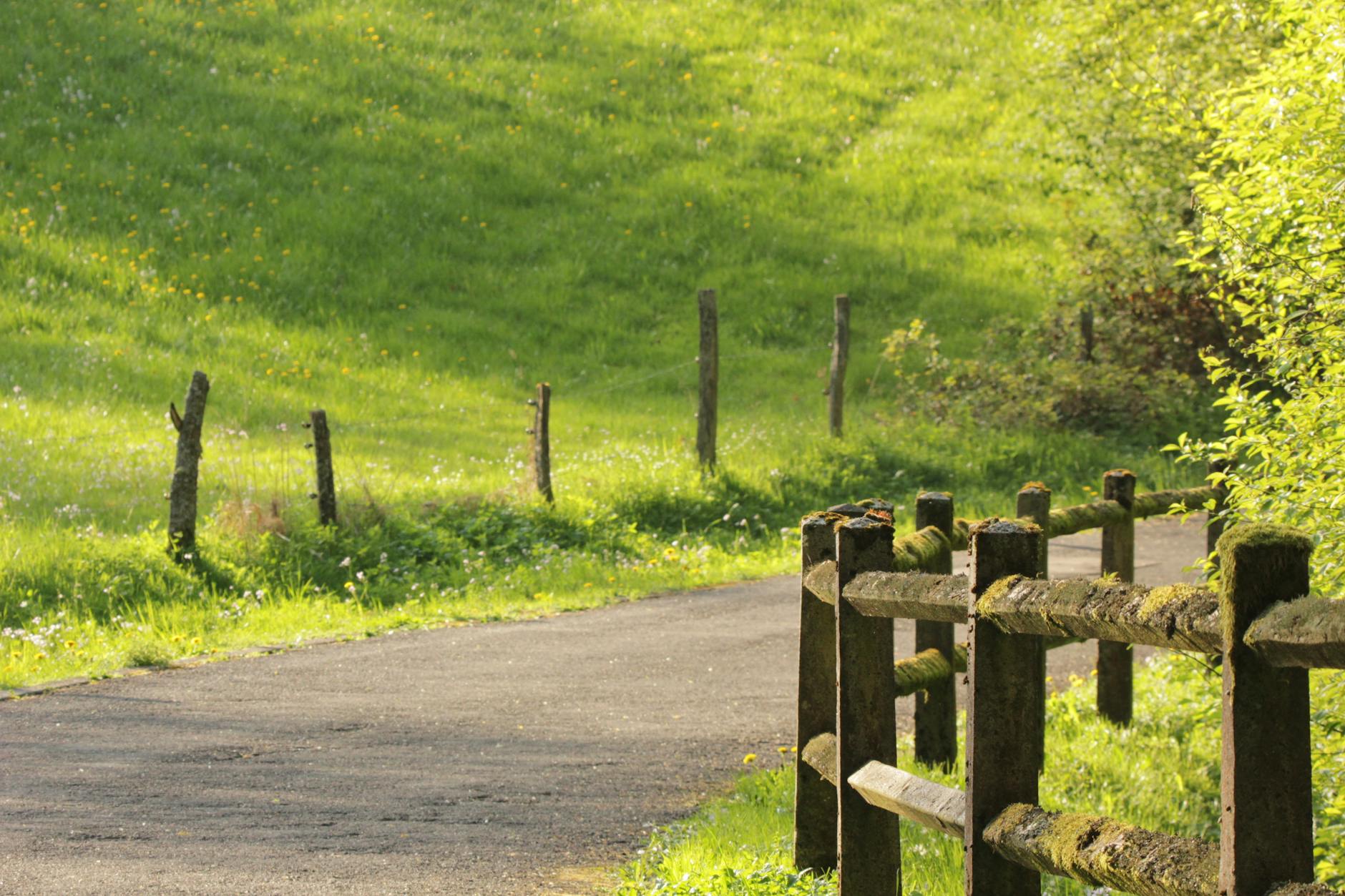 Paysage de Markneukirchen