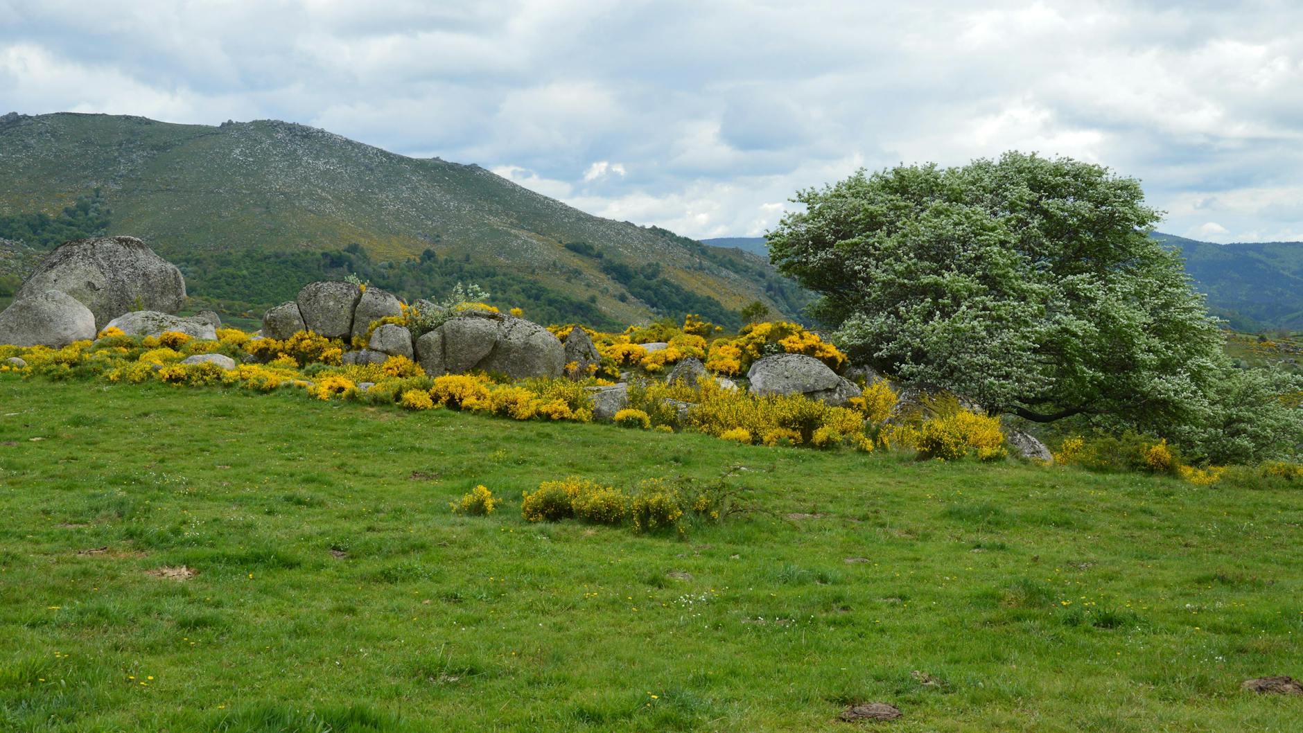 Paysage de Montélimar Sud