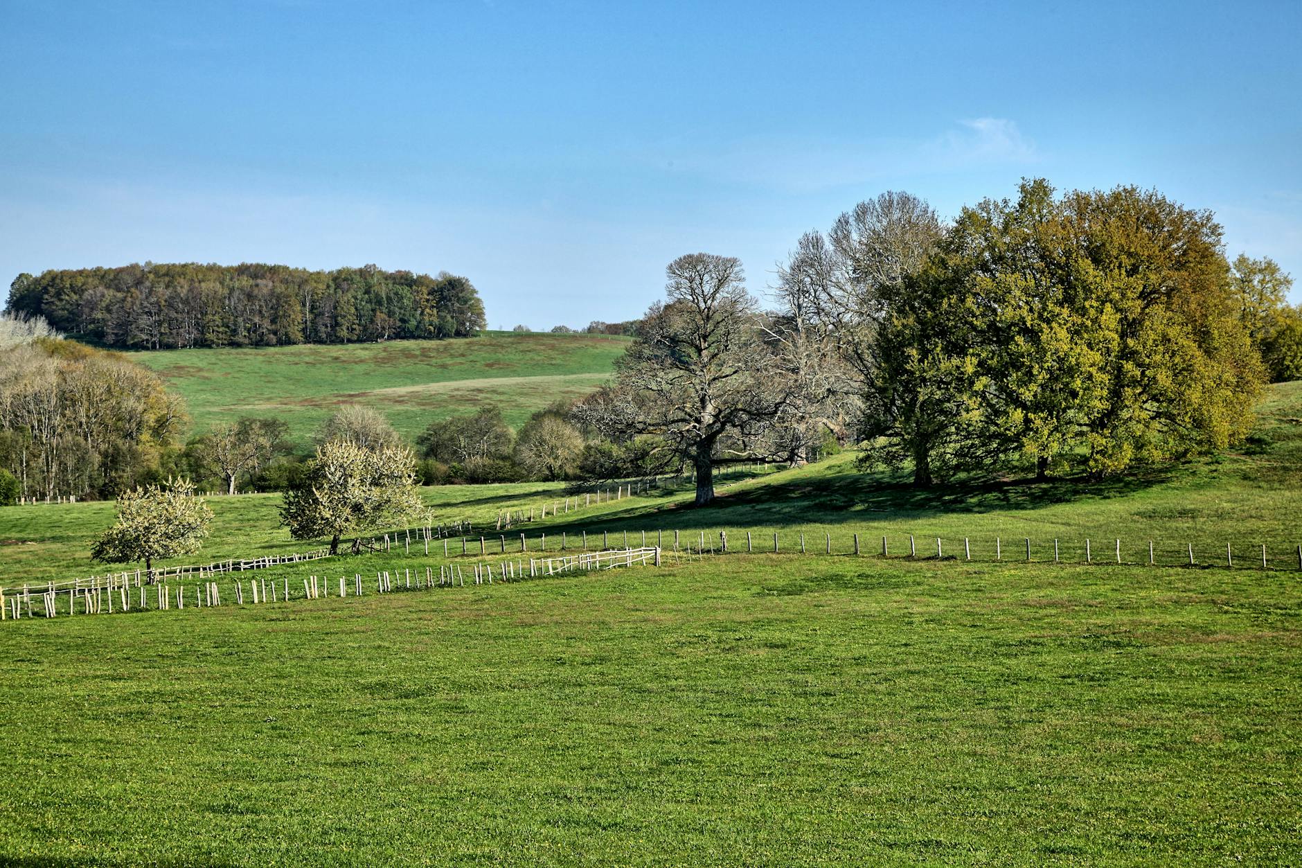 Vue de Mortagne-au-Perche