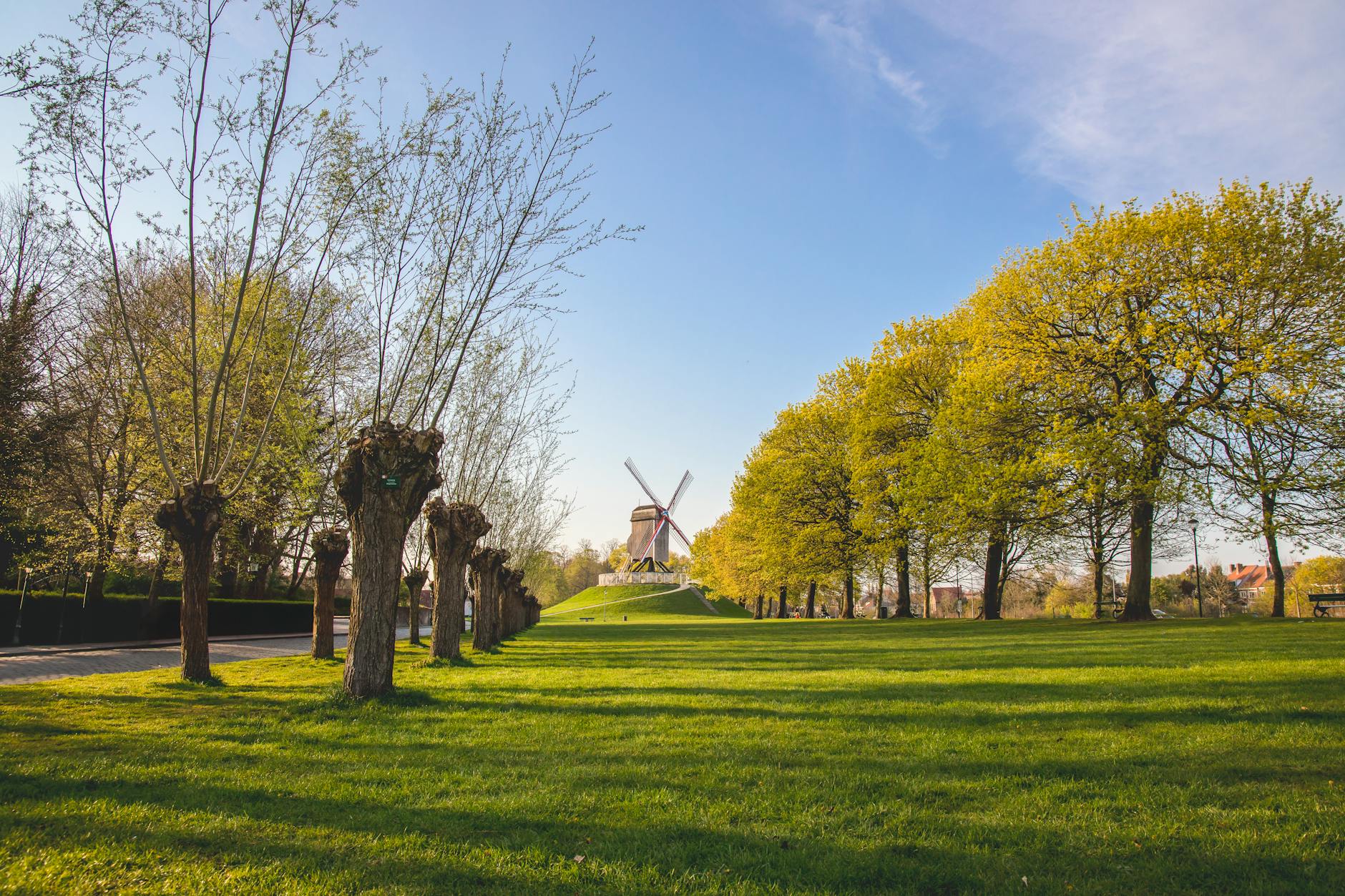 Paysage de Puurs-Sint-Amands
