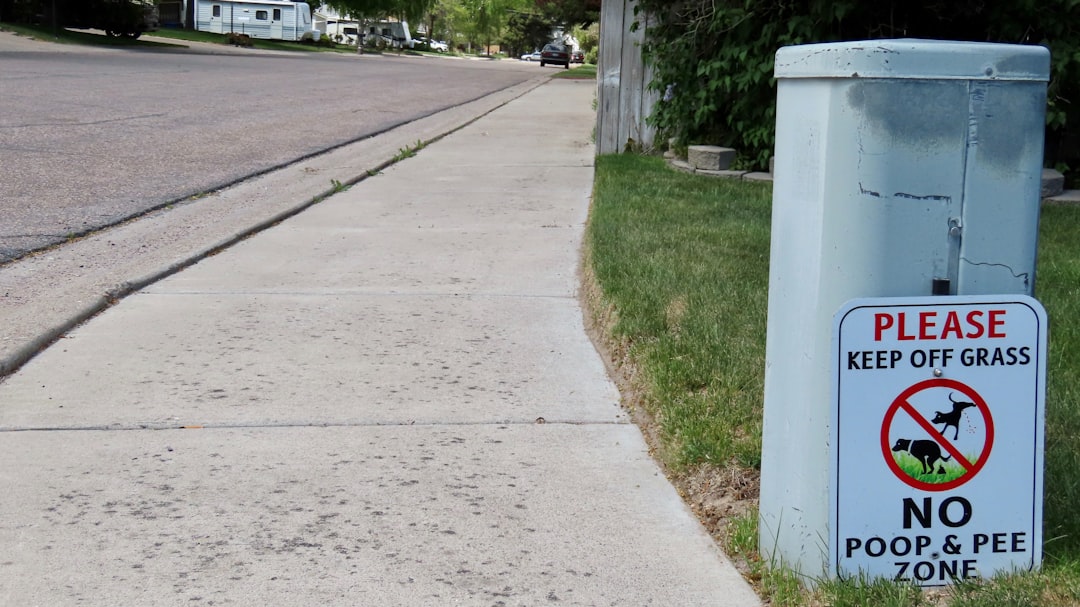 Vue de Puy-Saint-Vincent