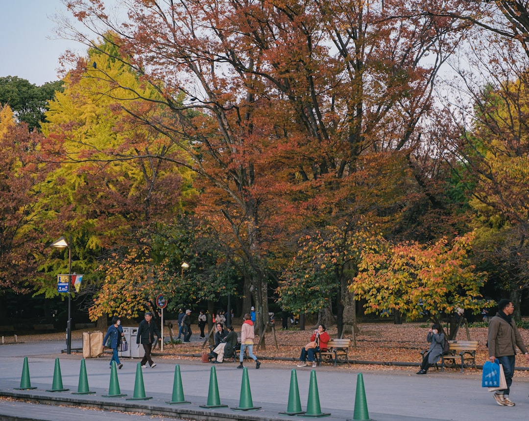 Paysage de Saint-Astier