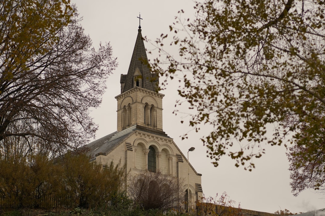 Paysage de Saint Cyr Sur Loire
