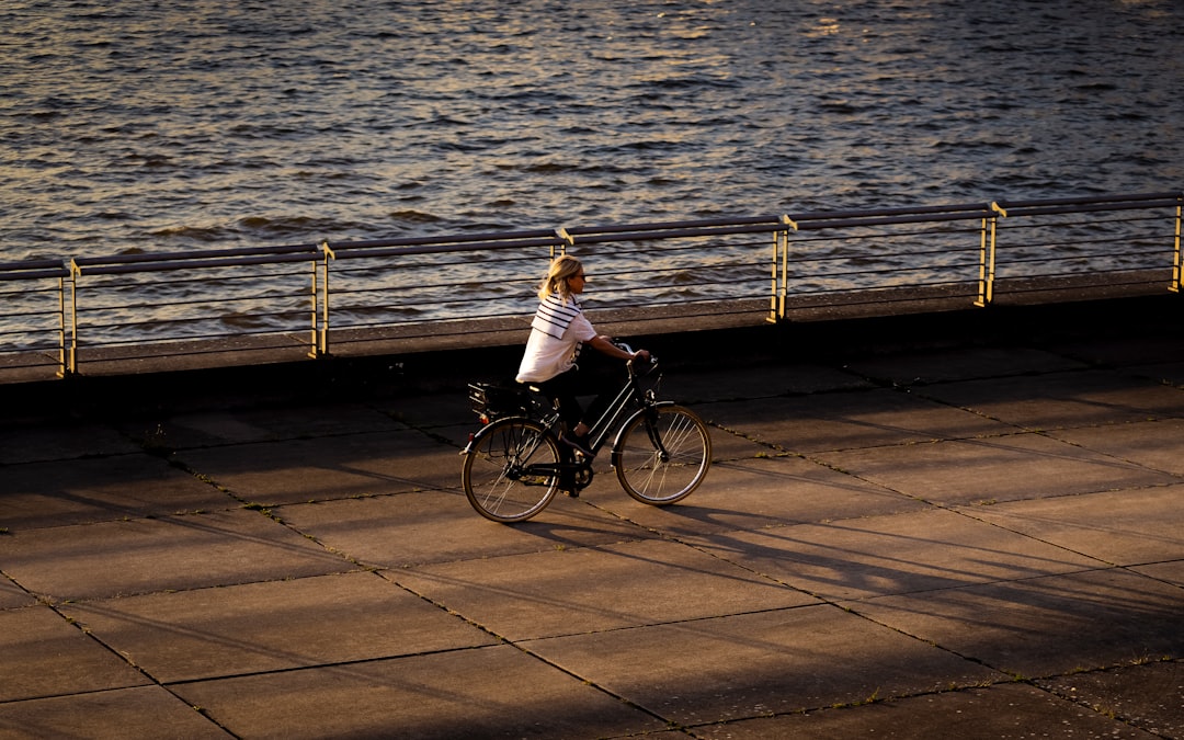 Vue de Saint Pierre Des Corps