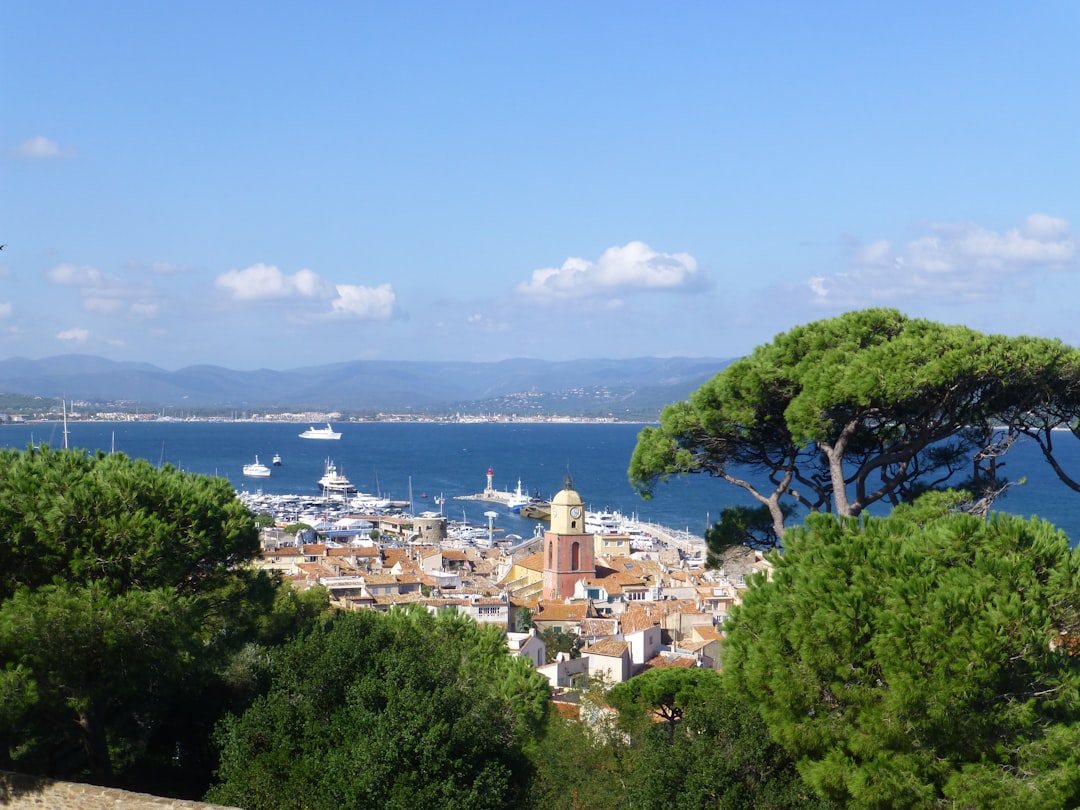 Paysage de Saint Tropez