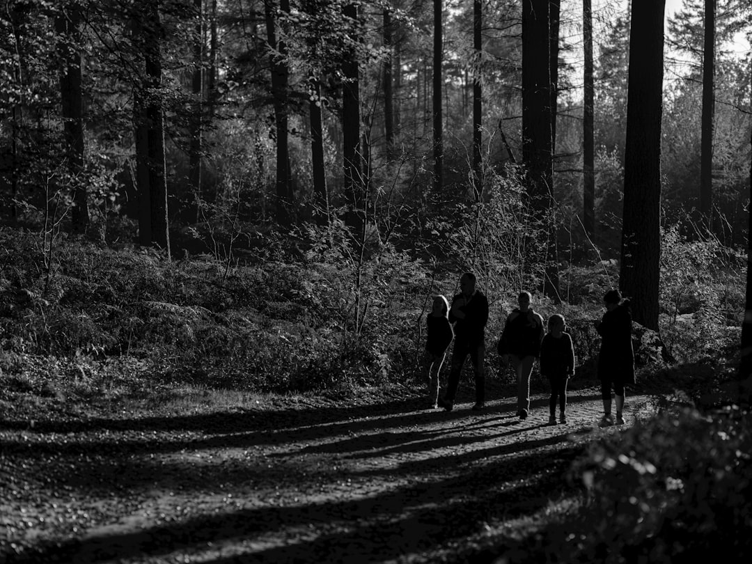 Paysage de Sainte Marie D Alloix