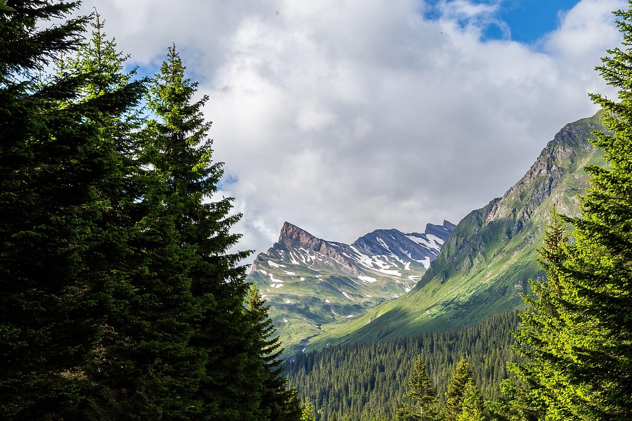 Paysage de San Bernardino