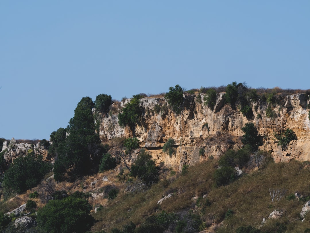 Vue de St. Martin Achelousaurus