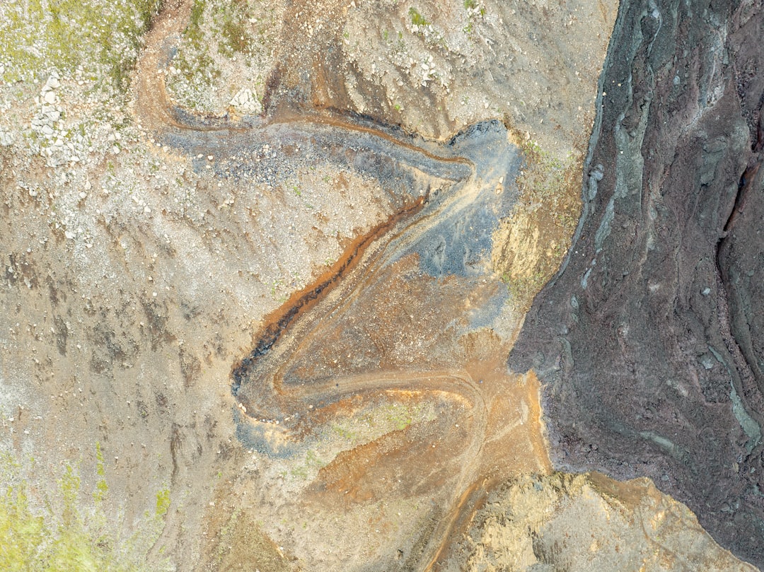 Vue de St. Martin Troodontidae