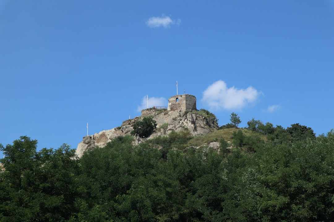 Paysage de Surdulica