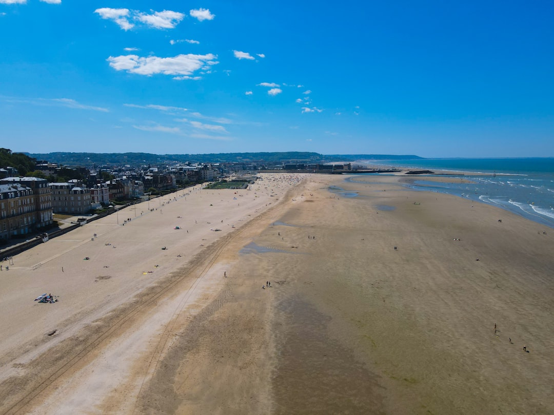 Vue de Trouville Sur Mer