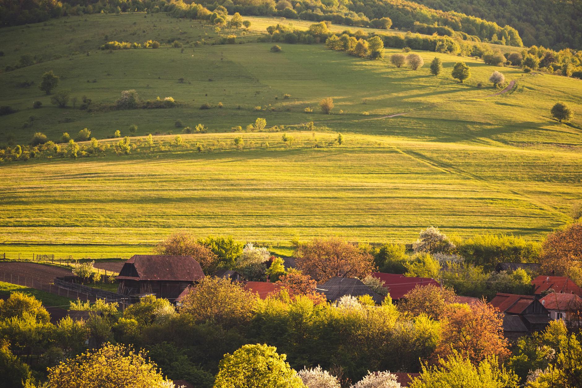 Paysage de Valea Danului