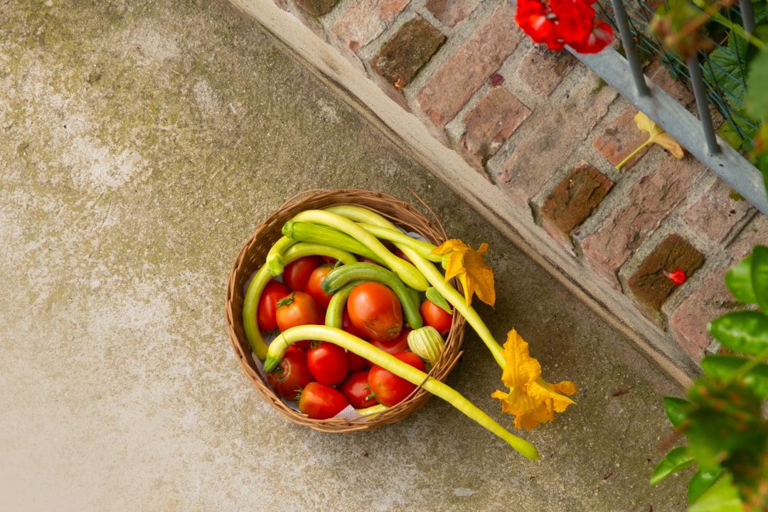 Vue de Villar Saint Pancrace