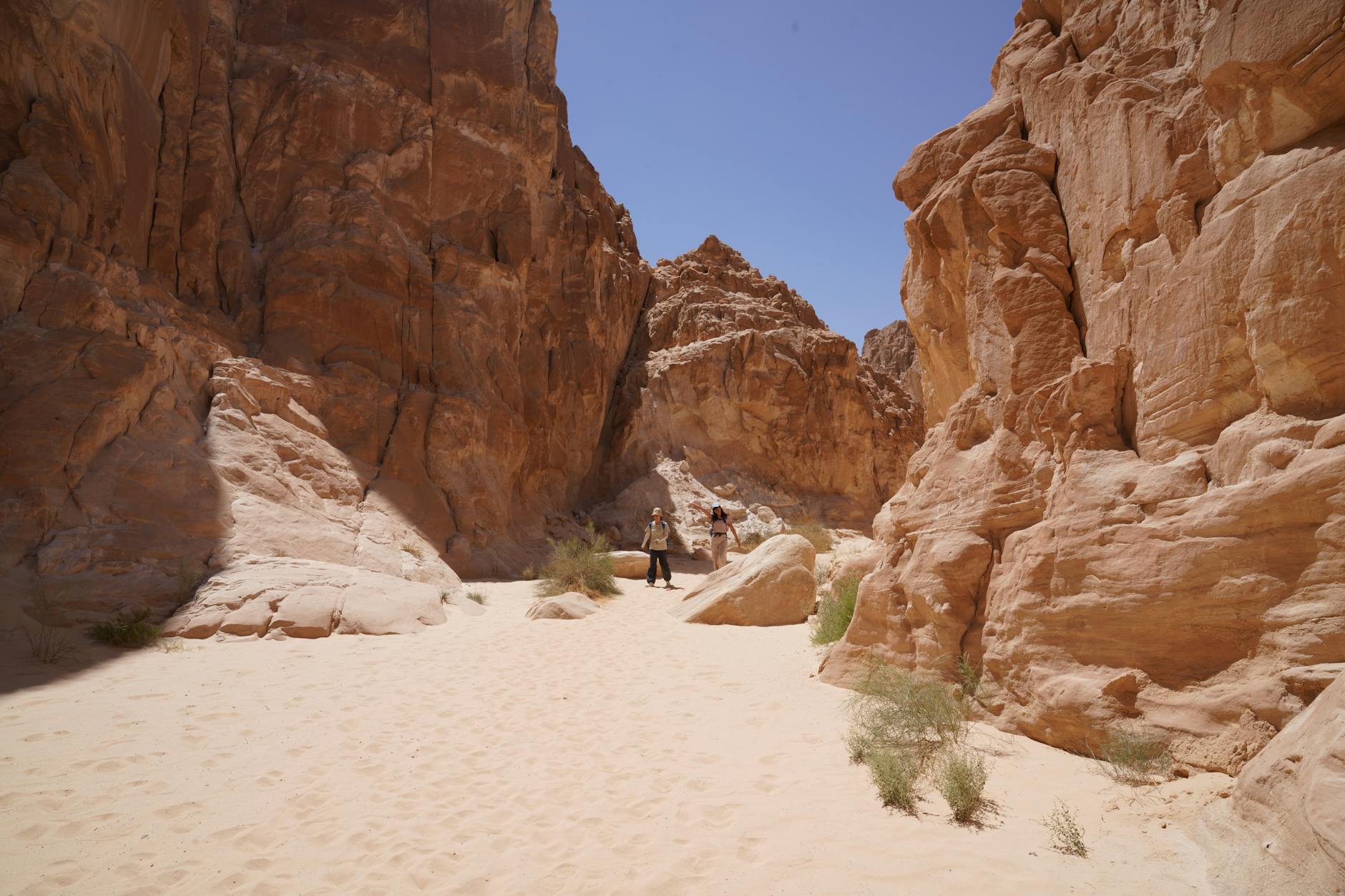 Paysage de Wadi Feiran