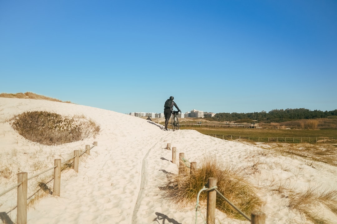 Paysage de Zandvoort